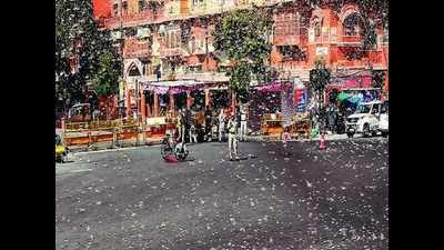 Jaipur: 8 locust attacks in 8 days, administration ready to tackle menace
