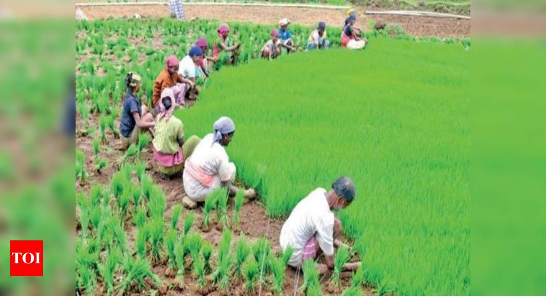 government-extends-crop-loan-repayment-date-till-august-31-prompt-re