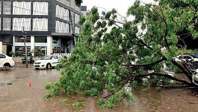 Covid-hit Gujarat braces for cyclonic storm tomorrow