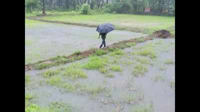 Kerala: Moderate rainfall in many places; orange alert issued for Kozhikode