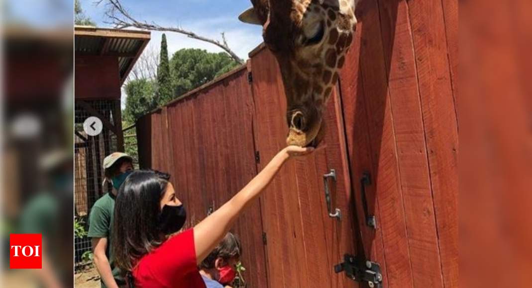 After Picking Fresh Vegetables From A Farm Sunny Leone Now Visits A Wildlife Park Feeds A