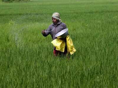 Odisha identifies nine districts vulnerable to possible locust attack; puts farmers on alert