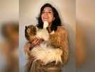 When Richa Chadha was slapped by her cat