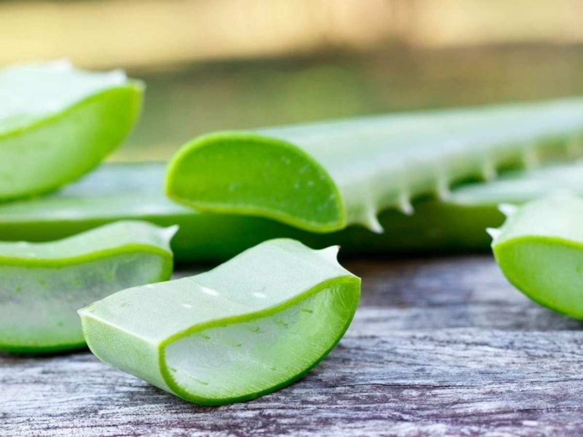 aloe vera skin care матрас