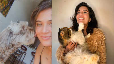 Richa Chadha gets 'slapped' from her furry friend Kamli and 'it really hurt'