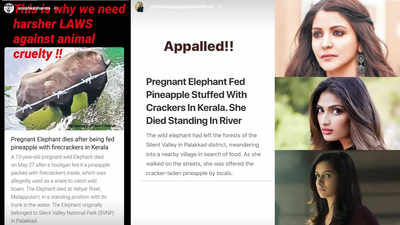 Anushka Sharma, Riddhima Kapoor Sahni, Randeep Hooda, Shraddha Kapoor and others call for ‘harsher laws’ against animal cruelty after pregnant elephant dies from eating pineapple stuffed with firecrackers