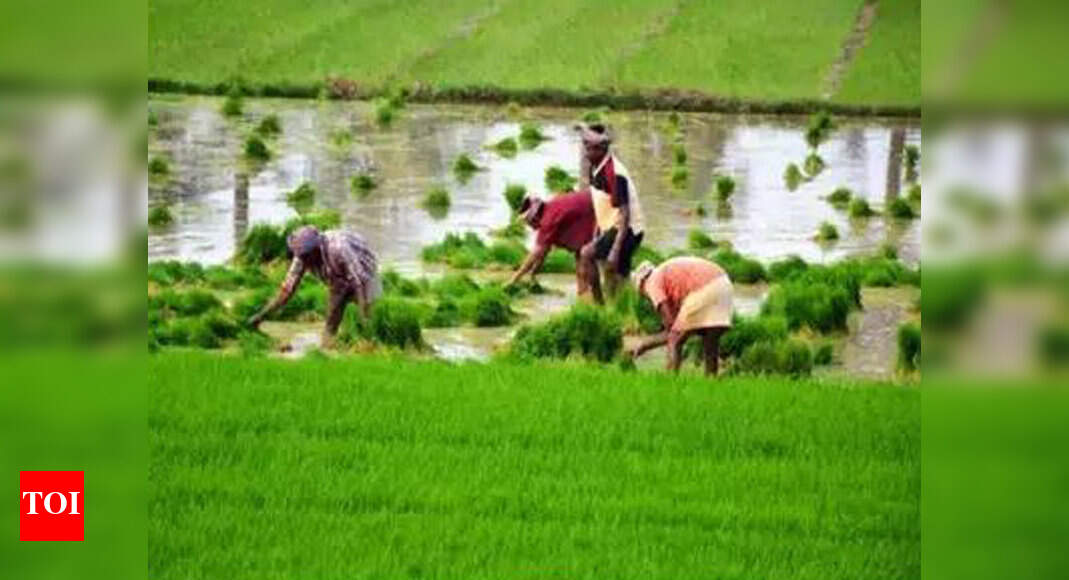 Microsoft Announces Programme For Agritech Startups In India Times Of India