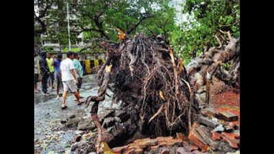 Cyclone veers, spares Mumbai, Raigad bears brunt; 4 killed