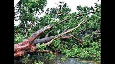 Pune: Heavy rain and storm spark power failure