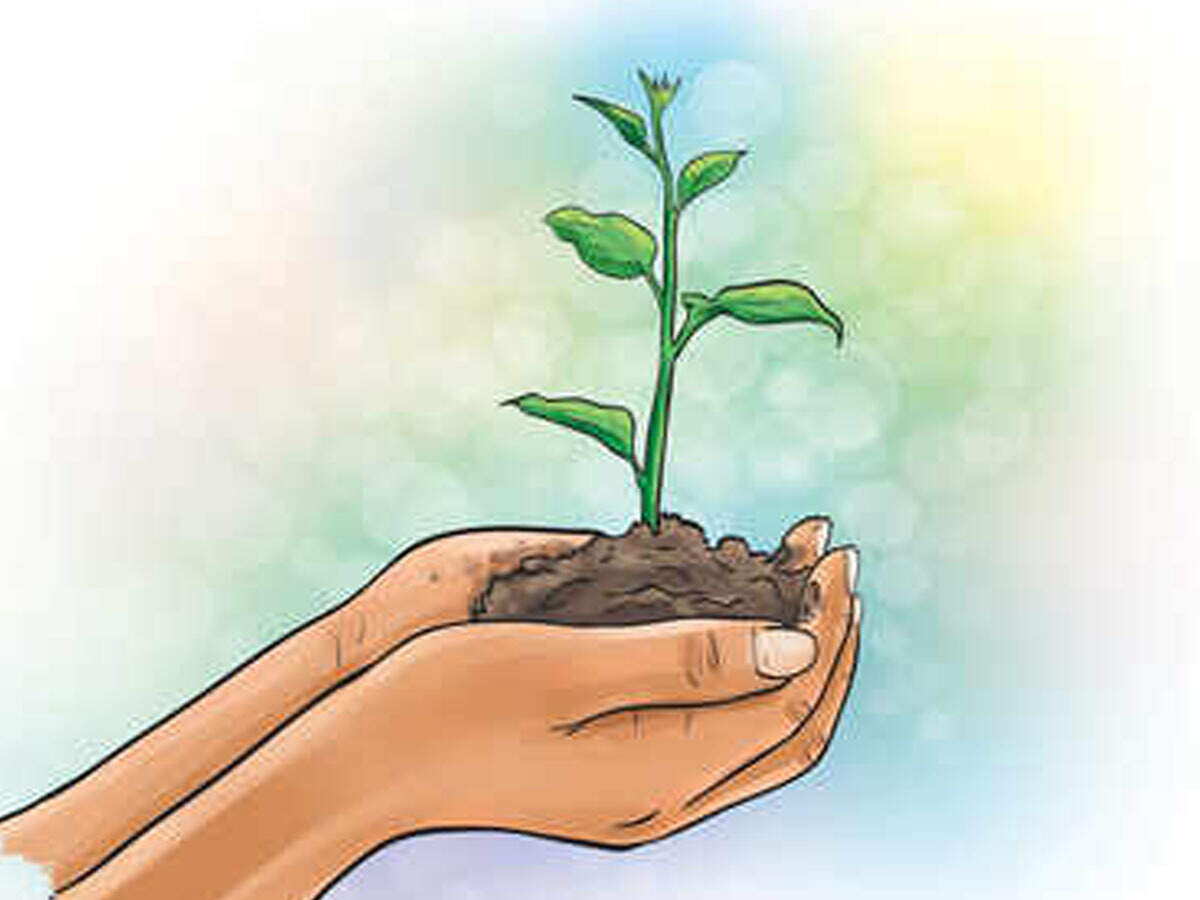 Unique Environment Conservation Campaign In Bareilly Bareilly News Times Of India