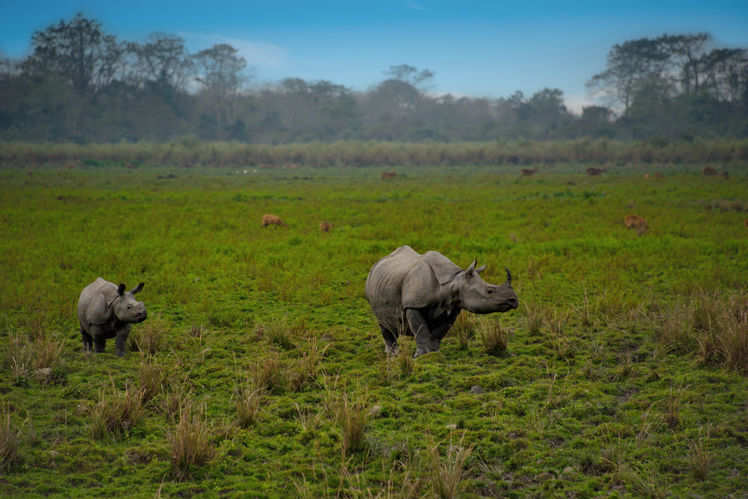 Exploring India’s UNESCO Natural World Heritage Sites on the World ...