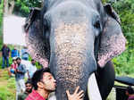 Kerala elephant tragedy: Celebrities demand strict action against animal cruelty