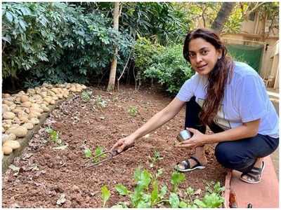World Environment Day: Juhi Chawla opens up about her lush green estate in Uganda!