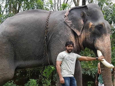 Arav recalls time spent with elephants in Palakkad