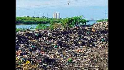 Chennai: Backwaters along OMR turn dump yard