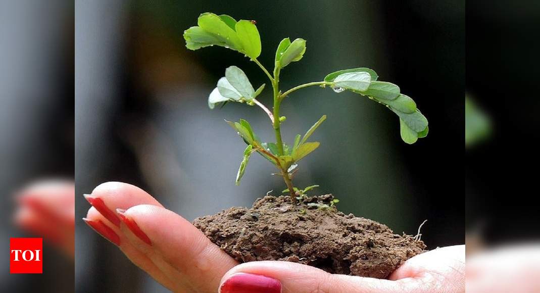 World Environment Day: India facing challenges in achieving 9 out of 17 ...