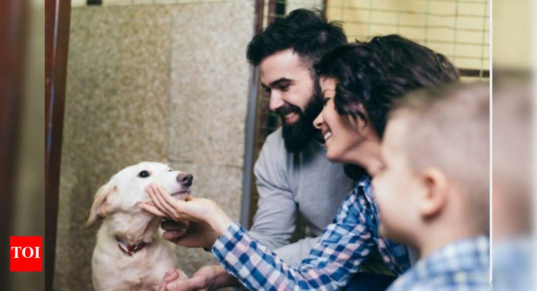 #WorldEnvironmentDay: Take a step towards becoming sustainable pet ...