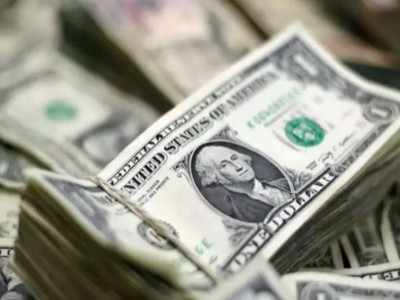 India's forex reserves surge to all-time high of $493.48 billion