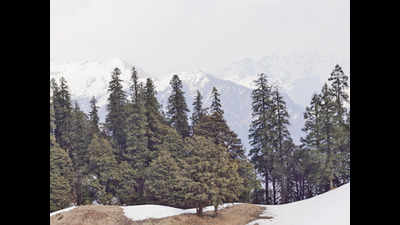 In Himachal Pradesh, lockdown keeps out 3,000 tonnes of ‘tourist trash’