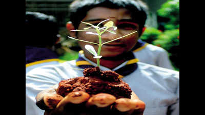 UP government wants schools to plant Sahjan, lemon saplings this year