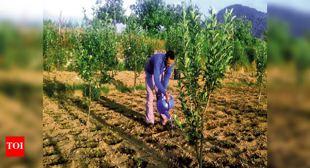 Uttarakhand How farmers in Kumaon used water harvesting to switch to