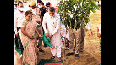 Haryana to plant 1.15 crore trees in 1,100 villages