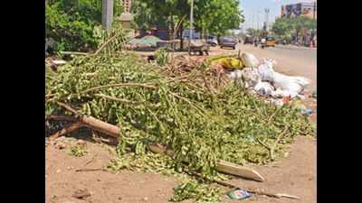 Residents wary of planting trees due to difficulty in disposing garden waste