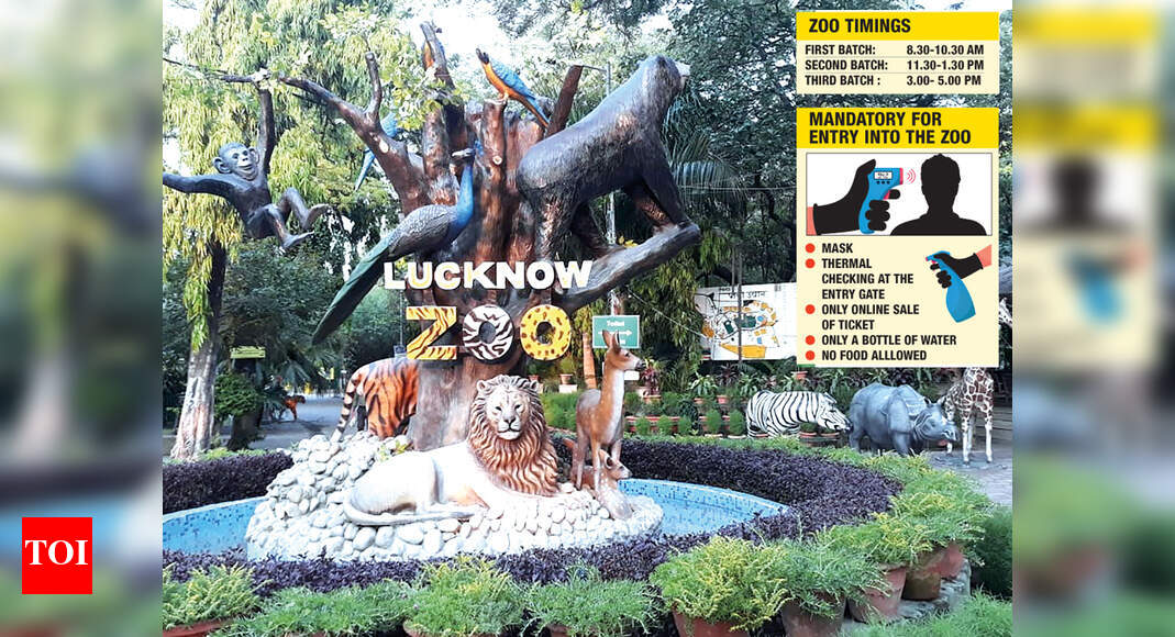Lucknow Zoo all set to reopen post lockdown Lucknow News Times of India