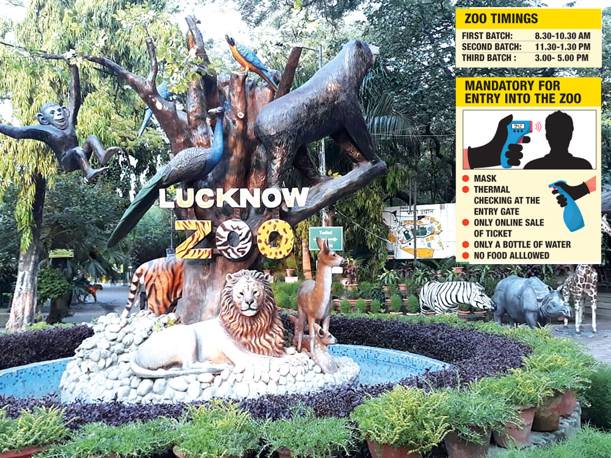 Lucknow Zoo All Set To Reopen Post Lockdown Lucknow News Times Of India