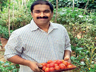 With time on hand, techies take to growing veggies in Bengaluru ...