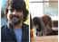 Watch: R Madhavan’s son grooming his pet is all dog lovers out there