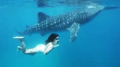 World Ocean Day: Katrina Kaif shares a throwback video with her 'incredible friend'