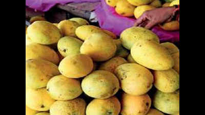 Andhra Pradesh fruits get direct shipping facility to UK