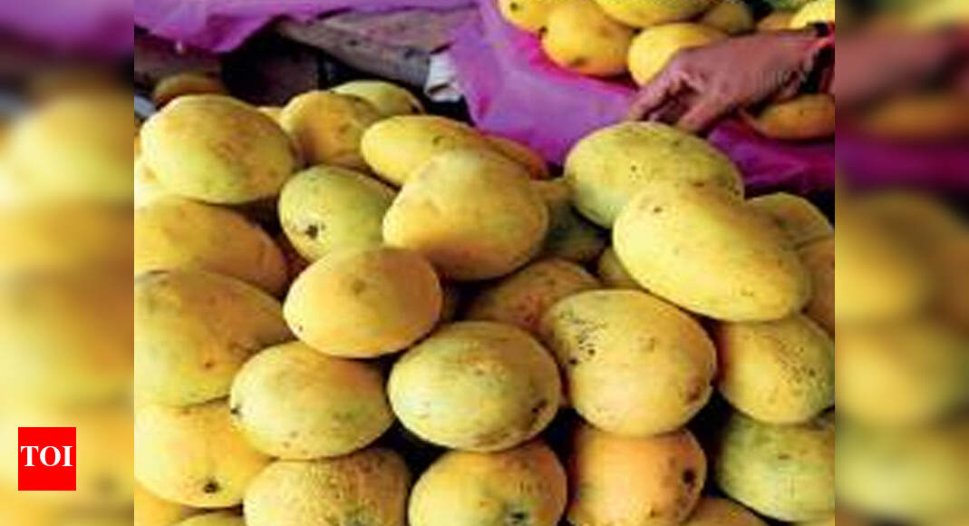 Andhra Pradesh fruits get direct shipping facility to UK Visakhapatnam News Times of India