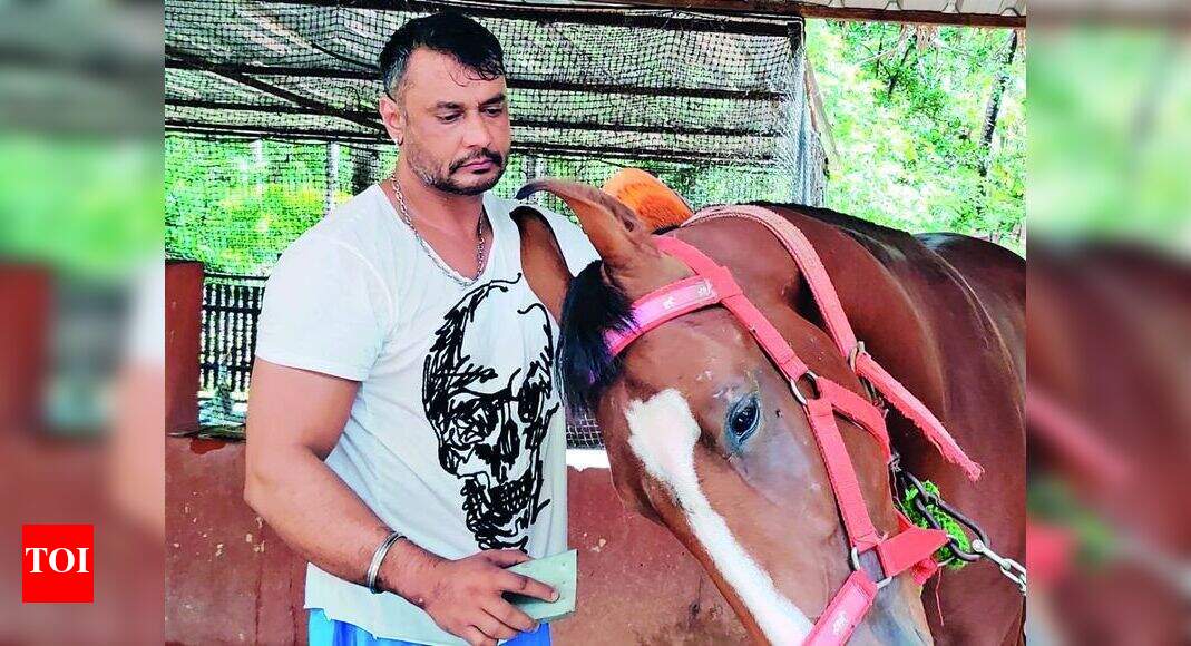 Darshan adds to his prized collection of horses; cares for them himself