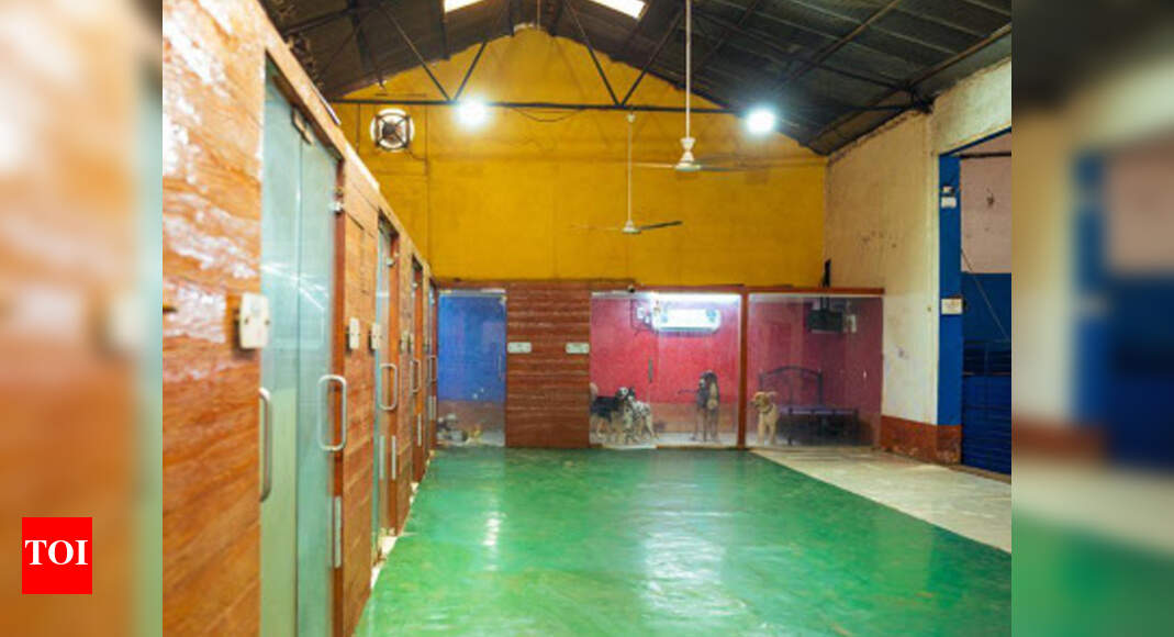 In Covid time, pet boardings offer refuge to affected families Mumbai