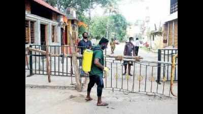 Covid-19: Karnataka's Chamarajanagar district loses its green zone tag