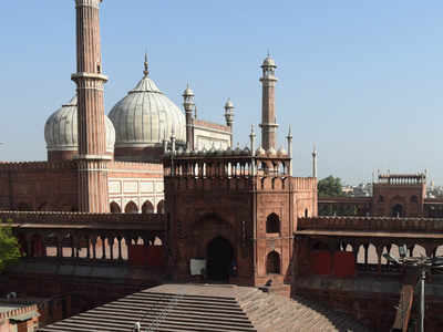 Delhi Coronavirus News: Delhi's Jama Masjid Shahi Imam's secretary dies of  Covid-19 | Delhi News - Times of India