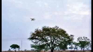 Locusts reappear in Ramtek, sprayed with drones