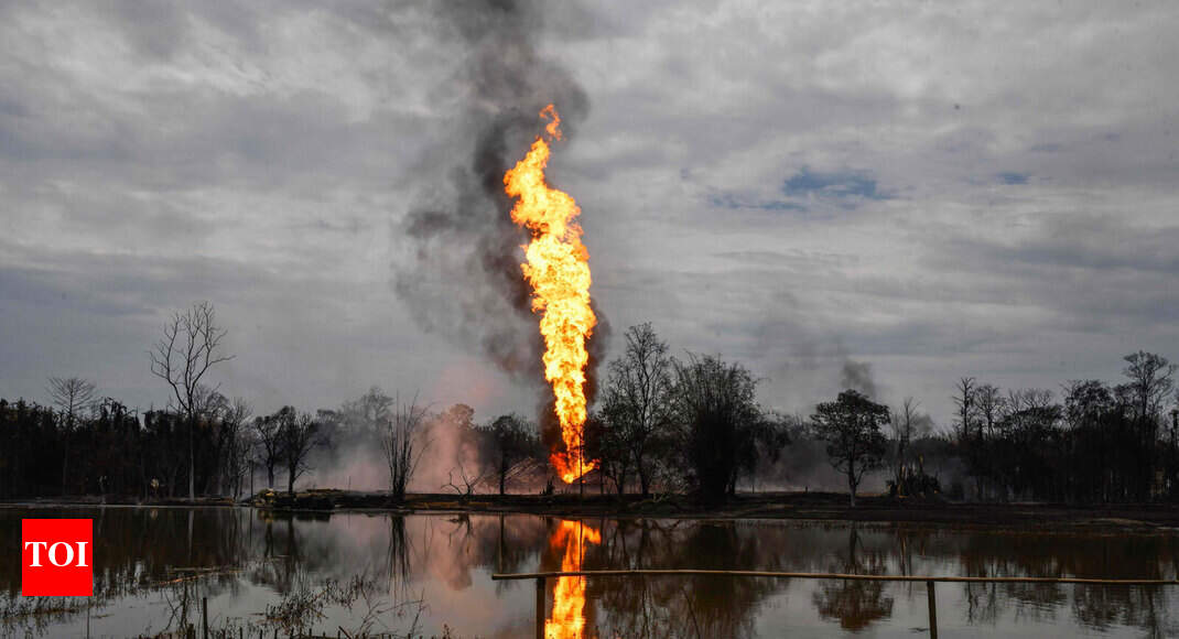 How oil spill damaged Assam’s ecological zones Times of India