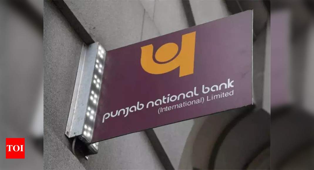 Pnb Fraud Case Cbi Registers Separate Cases Against 3 Firms For Defrauding Pnb Of Over Rs 125 Crore India Business News Times Of India