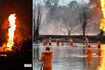 Shocking pictures from damaged ecological zones after oil well explodes in Assam