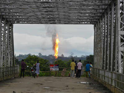 OIL well fire: WWF India wants Assam govt to invoke Environment Act ...