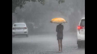 Delhi may get wet Sunday before temperature starts rising again