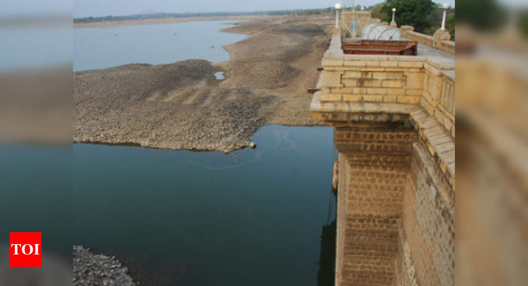 Karnataka: Rain pushes up water levels in 13 reservoirs - Times of India
