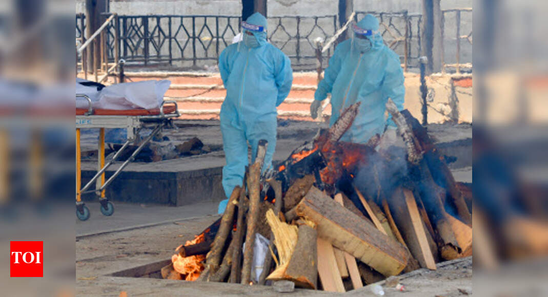 Residents oppose CNG furnaces at Delhi's Green Park cremation ground