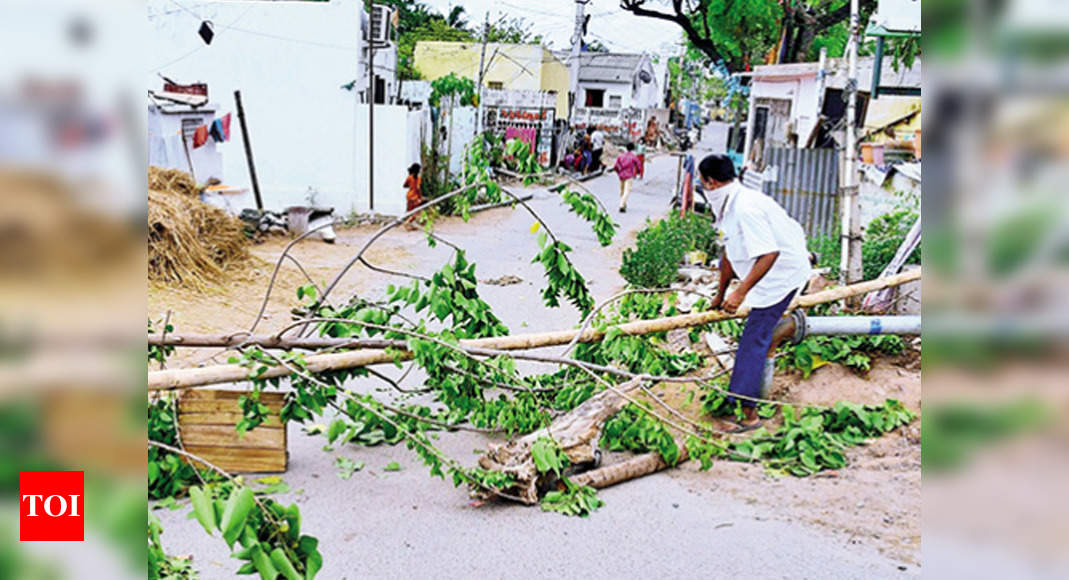 AP: With Easing Of Lockdown Curbs, Rural Krishna Sees Rise In Covid-19 ...