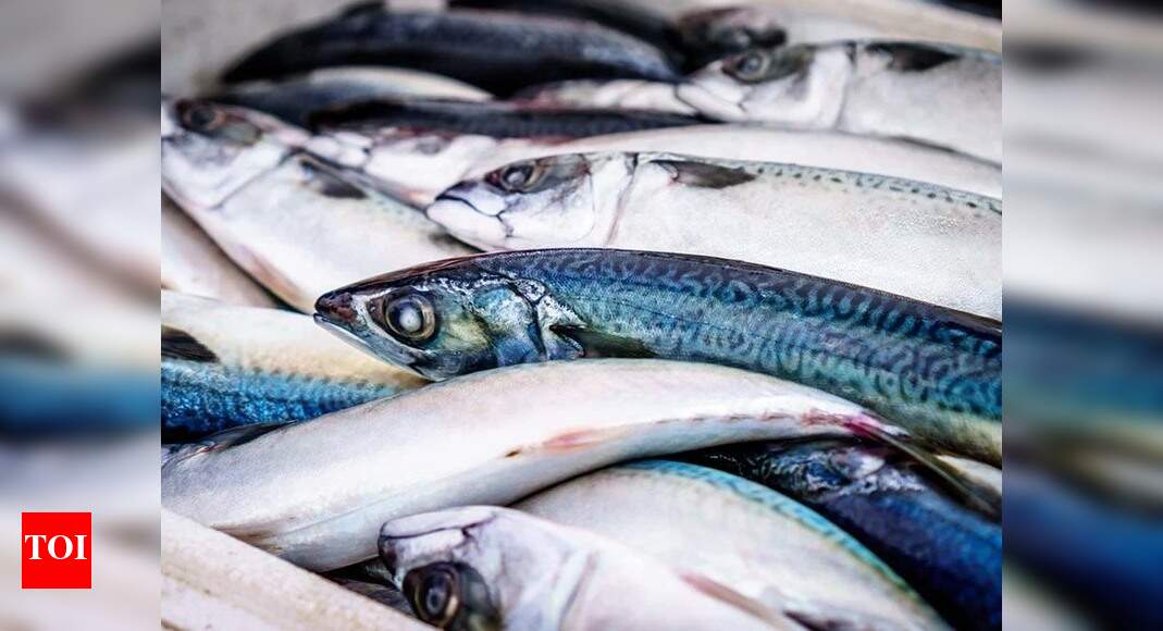 Andhra Pradesh: Wholesalers brace for hike in fish price as transport ...