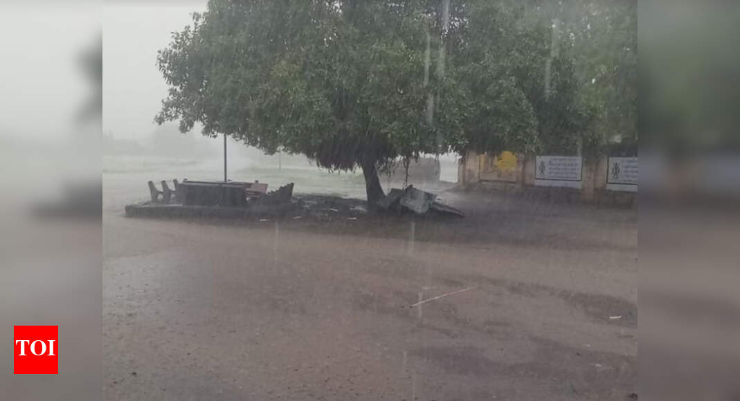 Gujarat Seven dead in rainrelated incidents in Amreli, Gir Somnath