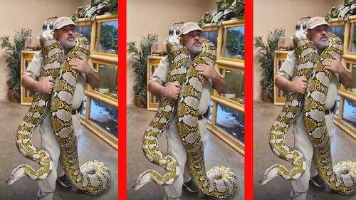Viral video: Man plays with huge python | - Times of India VideosTweets ...